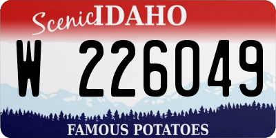 ID license plate W226049