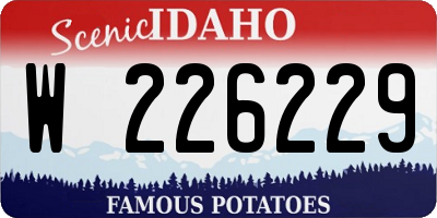 ID license plate W226229