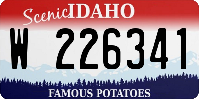 ID license plate W226341