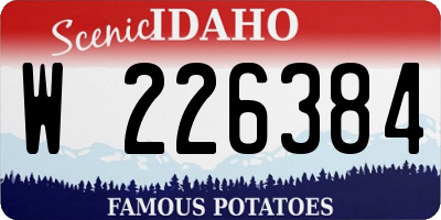 ID license plate W226384
