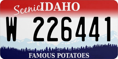ID license plate W226441