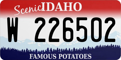 ID license plate W226502