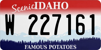 ID license plate W227161