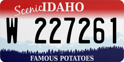 ID license plate W227261