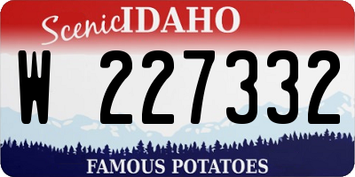 ID license plate W227332