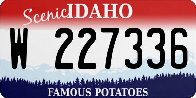 ID license plate W227336