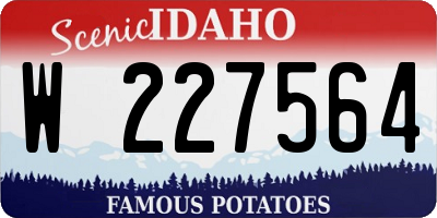 ID license plate W227564