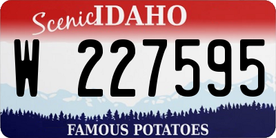 ID license plate W227595