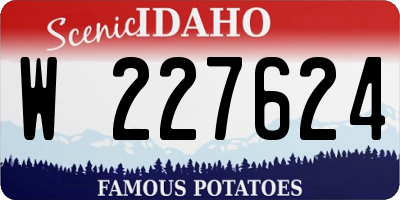 ID license plate W227624