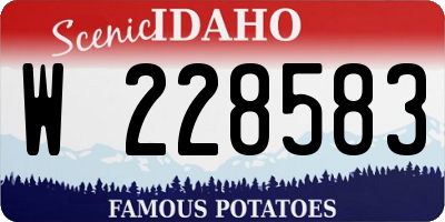 ID license plate W228583
