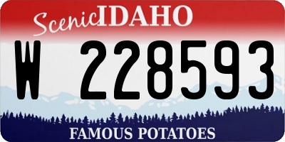 ID license plate W228593