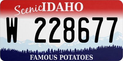 ID license plate W228677