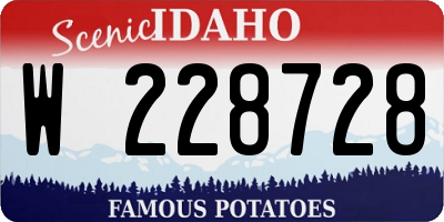 ID license plate W228728