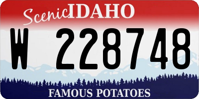 ID license plate W228748