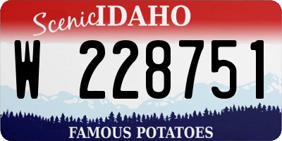 ID license plate W228751