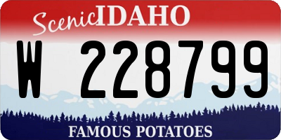ID license plate W228799