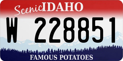 ID license plate W228851