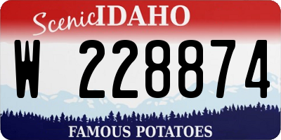 ID license plate W228874