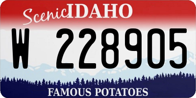ID license plate W228905