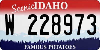 ID license plate W228973