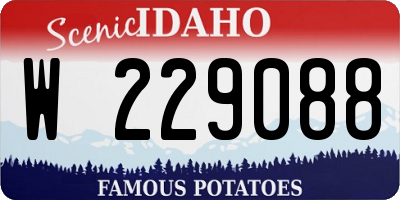 ID license plate W229088