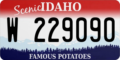 ID license plate W229090