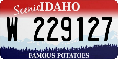 ID license plate W229127