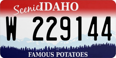 ID license plate W229144