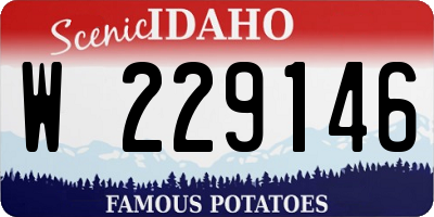 ID license plate W229146