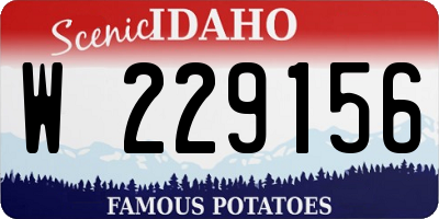 ID license plate W229156