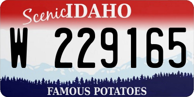 ID license plate W229165