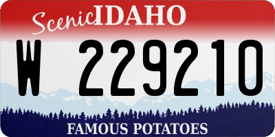 ID license plate W229210