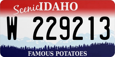 ID license plate W229213