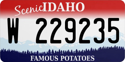 ID license plate W229235