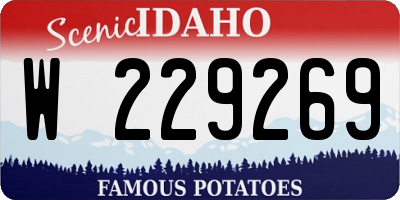 ID license plate W229269
