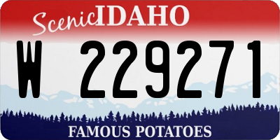 ID license plate W229271