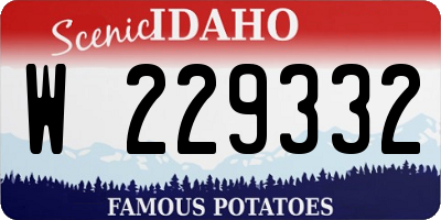 ID license plate W229332