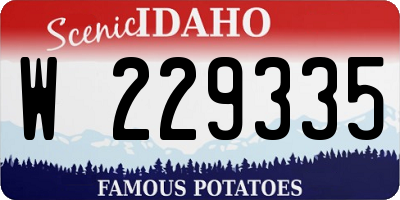 ID license plate W229335