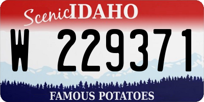 ID license plate W229371