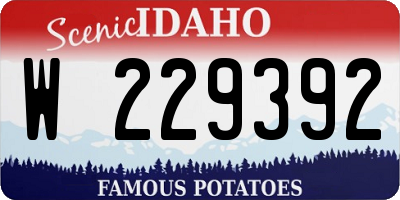 ID license plate W229392