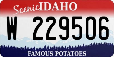 ID license plate W229506