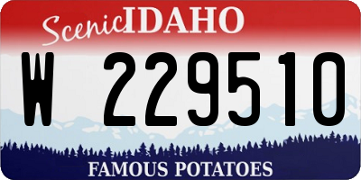 ID license plate W229510