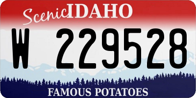 ID license plate W229528