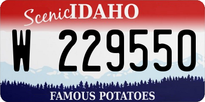 ID license plate W229550