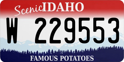 ID license plate W229553