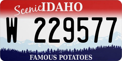 ID license plate W229577