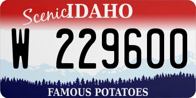 ID license plate W229600