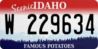 ID license plate W229634
