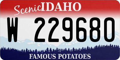 ID license plate W229680