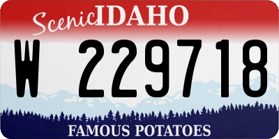 ID license plate W229718